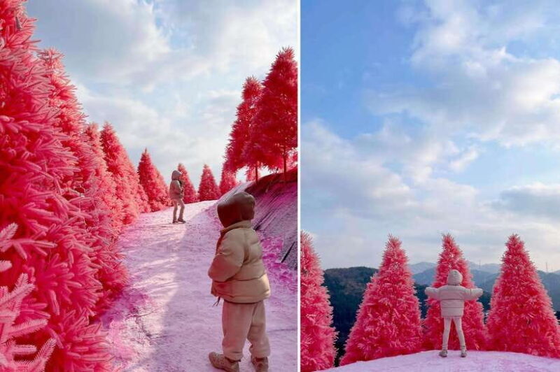 From Seoul: Pocheon, Sanjung Lake and Bidulginang Fall Trip - Viewpoint: A Snapshot of Scenic Beauty