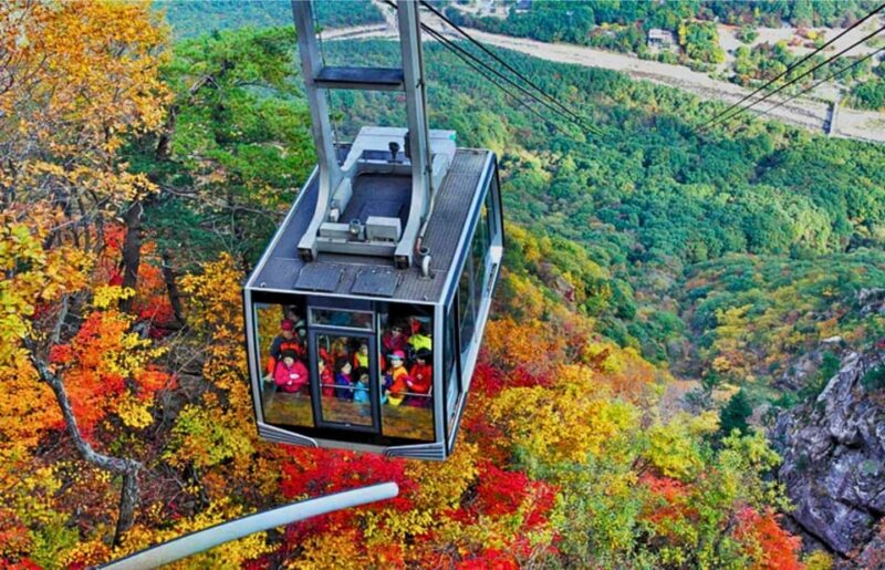 From Seoul: Seoraksan Maple Mountain With Cable Car - Highlights and Attractions