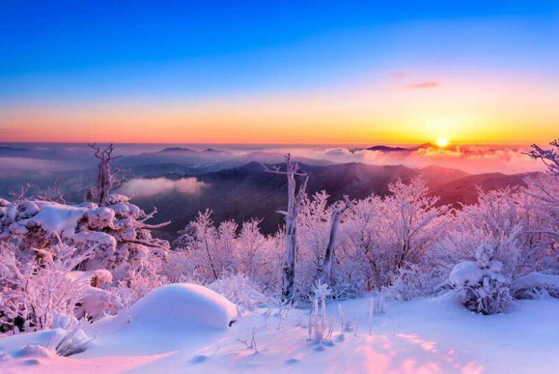 From Seoul: Snow-Capped Beauty of Deogyusan National Park - The Practicality of a Day Trip to Deogyusan