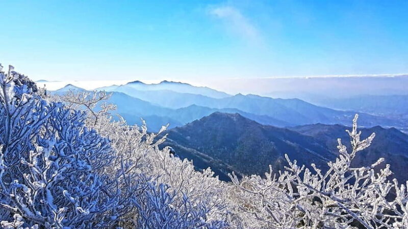 From Seoul: Snow-Capped Beauty of Deogyusan National Park - Scenic Views and Additional Stops