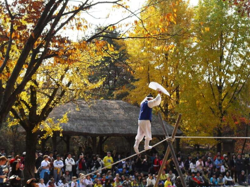From Seoul: Suwon Hwaseong Fortress Tour - Who Is This Tour Best For?