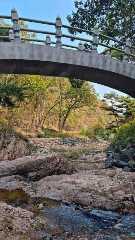 From Seoul: Yeongdong Day Trip with Wine Tasting and Janggu - Additional Guided Tour and Scenic Views