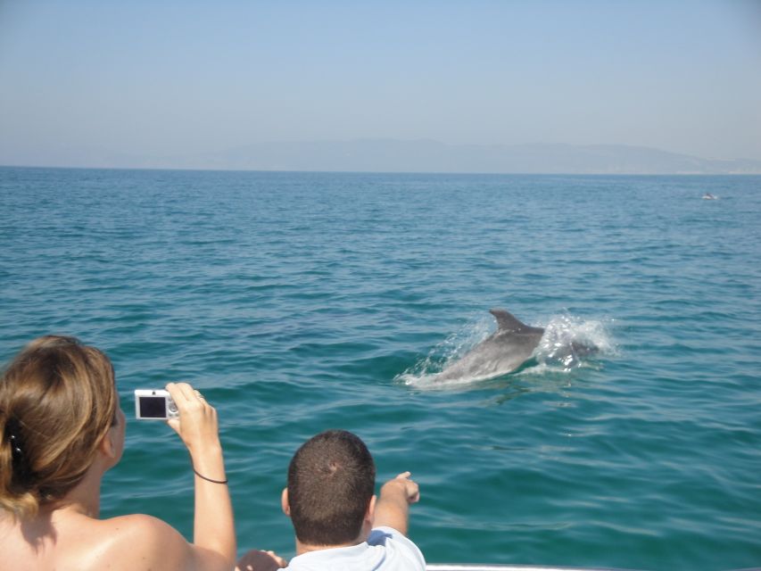 From Sesimbra: Arrábida Dolphin Watching Boat Tour - Booking Information