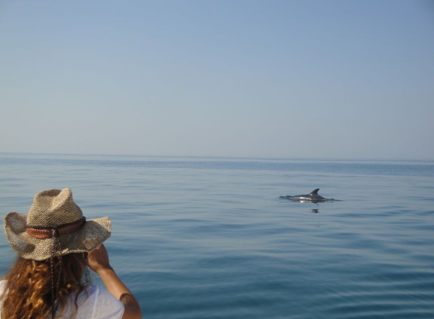 From Sesimbra: Arrábida Dolphin Watching Boat Tour - Customer Feedback