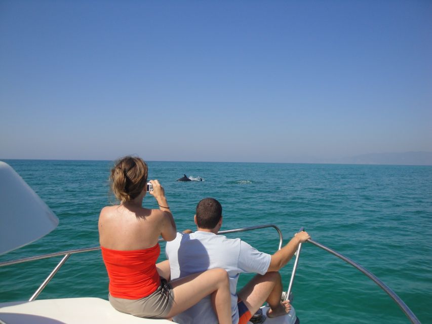 From Sesimbra: Arrábida Dolphin Watching Boat Tour - Frequently Asked Questions