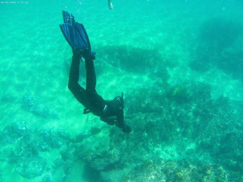 From Sesimbra: Exclusive!!! Sea Scooter Snorkeling Boat Tour - Snorkeling Adventures