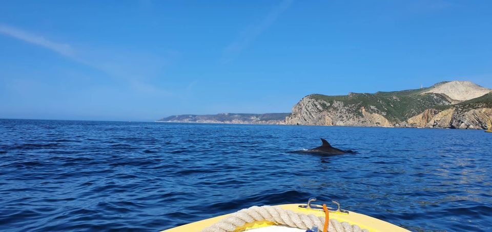 From Sesimbra: Ribeira Do Cavalo Beach and Caves Boat Tour - Inclusions and Safety