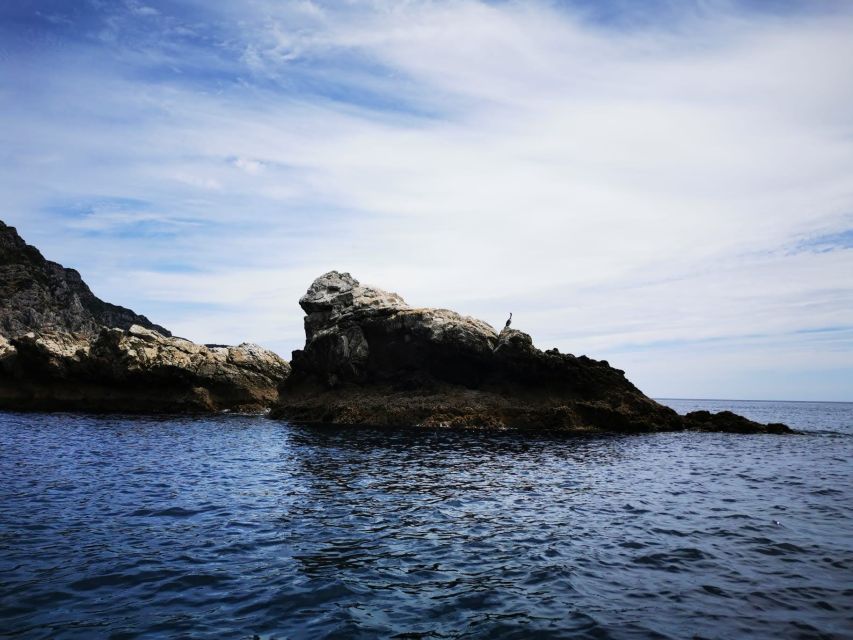 From Sesimbra: Ribeira Do Cavalo Beach and Caves Boat Tour - Frequently Asked Questions