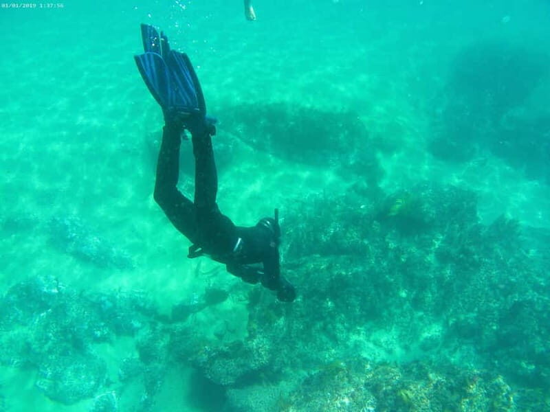 From Sesimbra: Sea Scooter Snorkeling boat Tour - FAQs