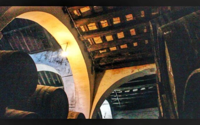 From Seville: Cadiz & Jerez Sherry Tasting Day Trip - Discovering Jerez