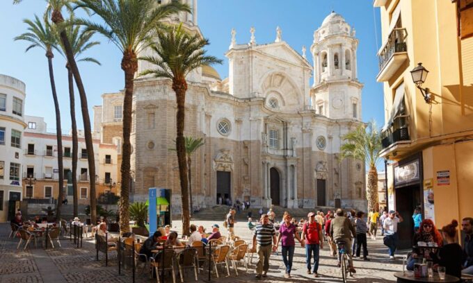 From Seville: Cadiz & Jerez Sherry Tasting Day Trip - Tasteful Sherry Experiences