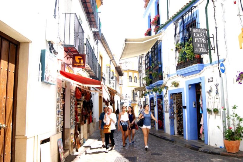 From Seville: Cordoba and Its Mosque Guided Day Trip - Highlights and Experiences