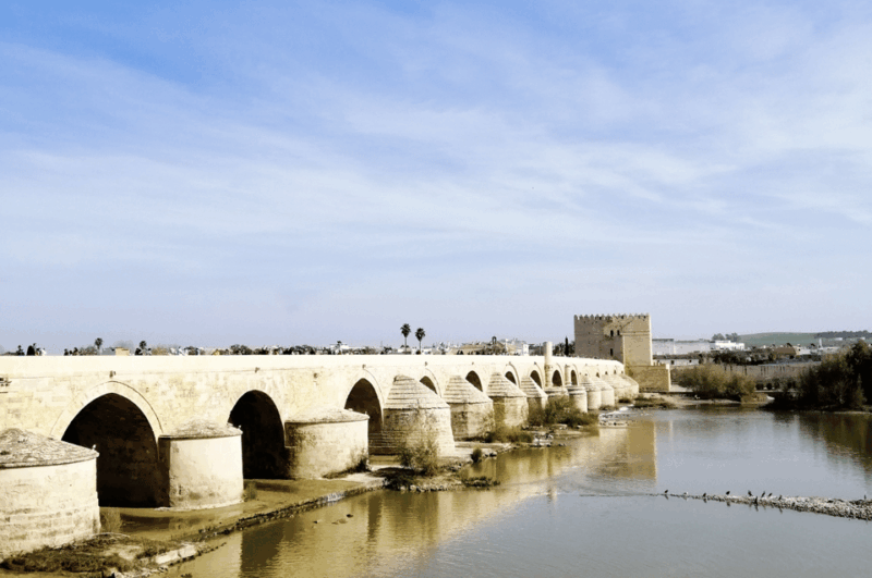 From Seville: Cordoba Private Day Trip - Free Time for Local Cuisine and Exploration