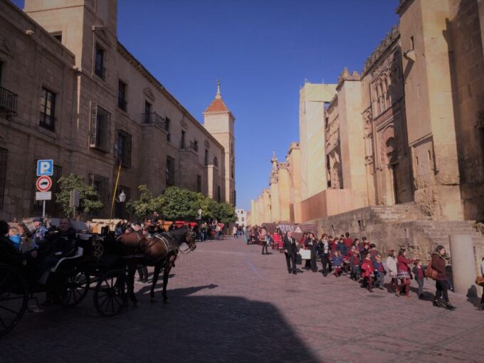From Seville: Cordoba, the Mosque and Carmona Day Trip - What to Bring
