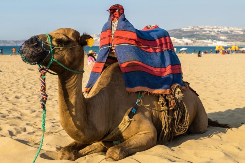 From Seville: Gibraltar and Tangier 2-Day Trip With Hotel - Highlights of Day 1