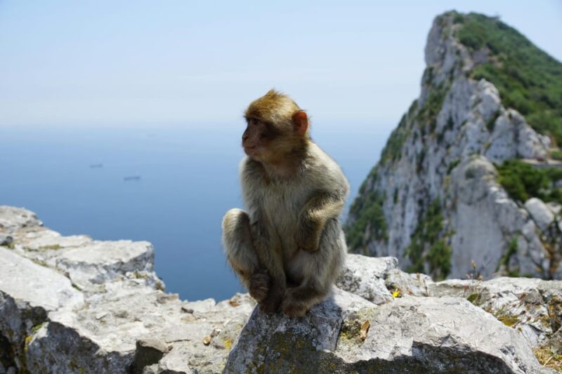 From Seville: Gibraltar and Tangier 2-Day Trip With Hotel - Included Features