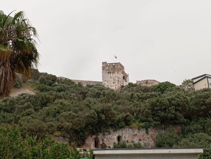 From Seville: Gibraltar Day Trip - Journey to Gibraltar