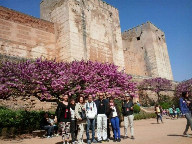 From Seville: Granada Day Trip With Alhambra and Albaicín - Bus Journey and Breaks