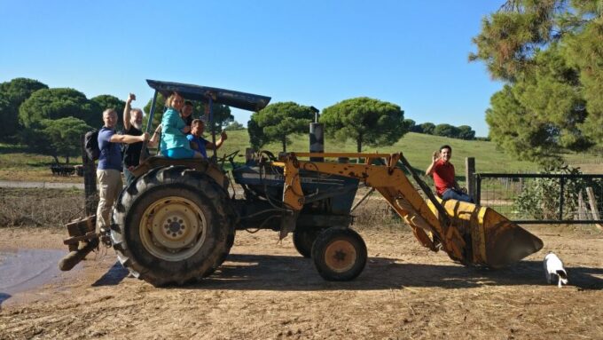 From Seville: Half-Day Bull Breeding Farm Tour - Frequently Asked Questions