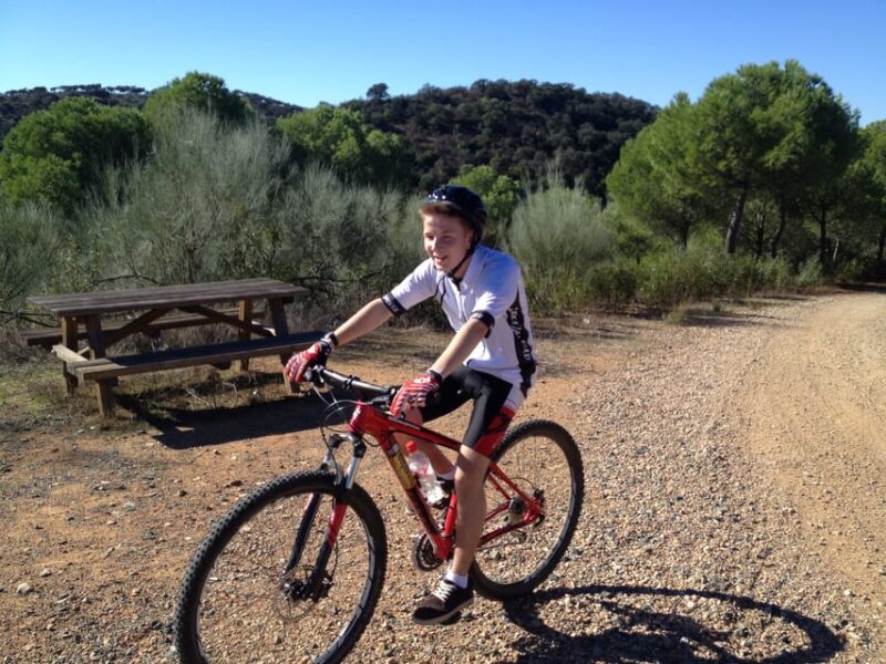 From Seville: Half-Day Guided Bike Trip to Italica - Guided by Knowledgeable Professionals
