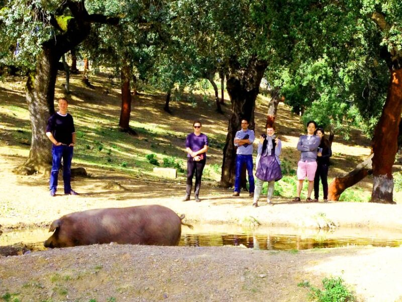 From Seville: Iberian Ham Full-Day Tour to Aracena - Experience and Reviews