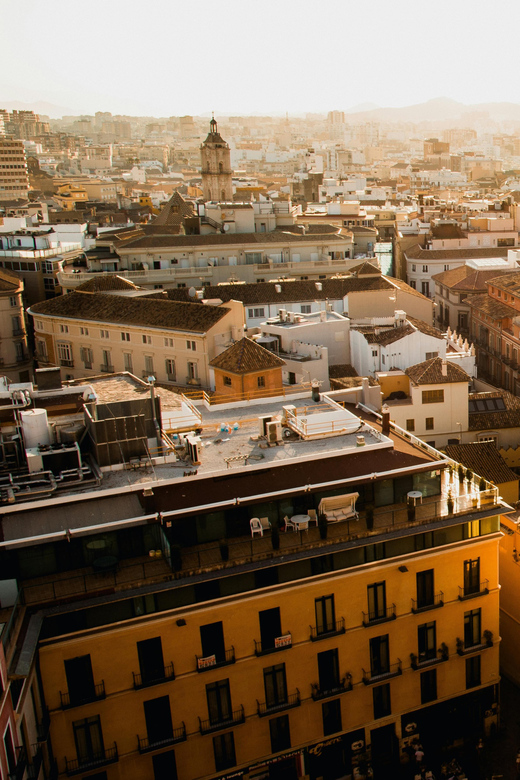 From Seville: Private Excursion to Malaga With Entrance Fees to Monuments - Cancellation and Refund Policy