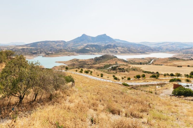 From Seville: Pueblos Blancos and Ronda Full-Day Trip - Experience Highlights