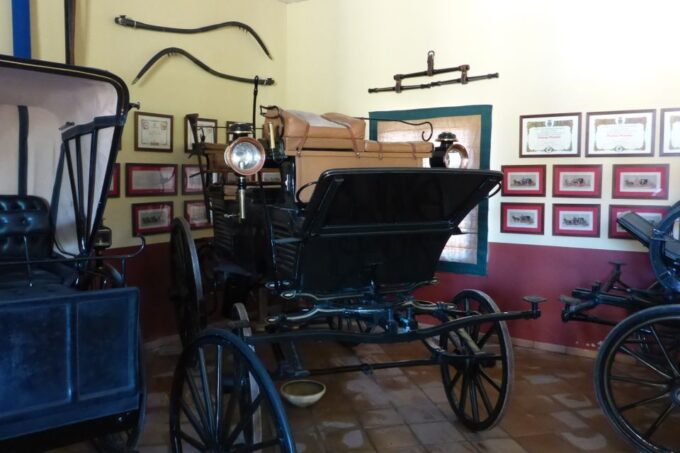 From Seville: Tour of Jerez With Horse Show & Wine Tasting - Sherry Wine Bodega Visit