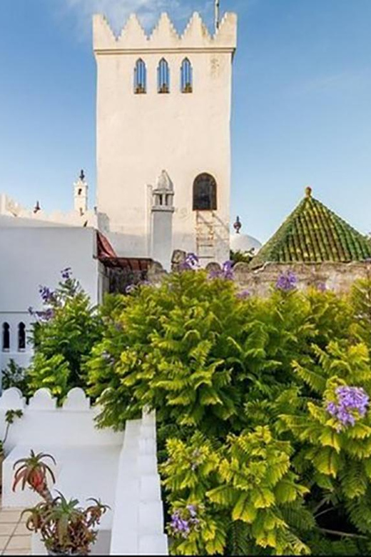 From Seville: VIP Tangier Tour, All Included. - Itinerary and Activities