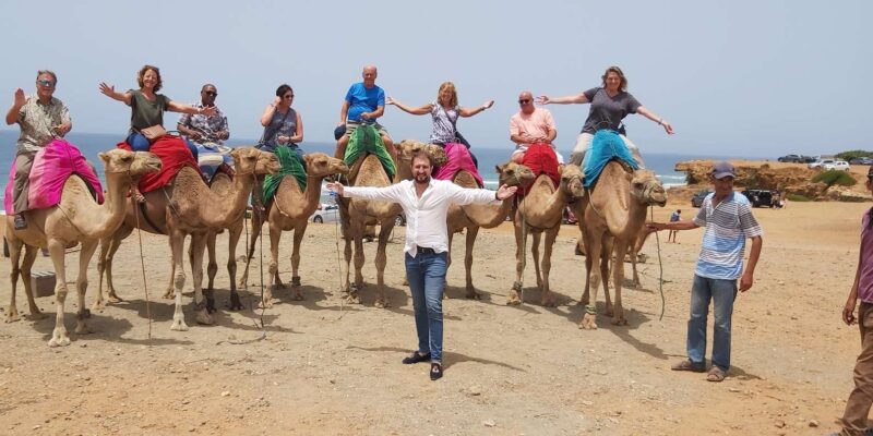 From Seville: VIP Tangier Tour, All Included. - Key Points