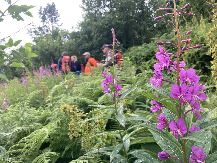 From Seward: 4-hour Wilderness Hiking Tour - Booking and Pricing Details