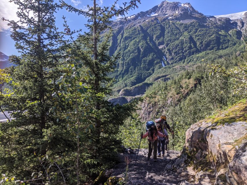 From Seward: 4-hour Wilderness Hiking Tour - Cancellation Policy
