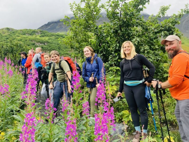 From Seward: 6-hour Wilderness Hiking Tour - Key Points