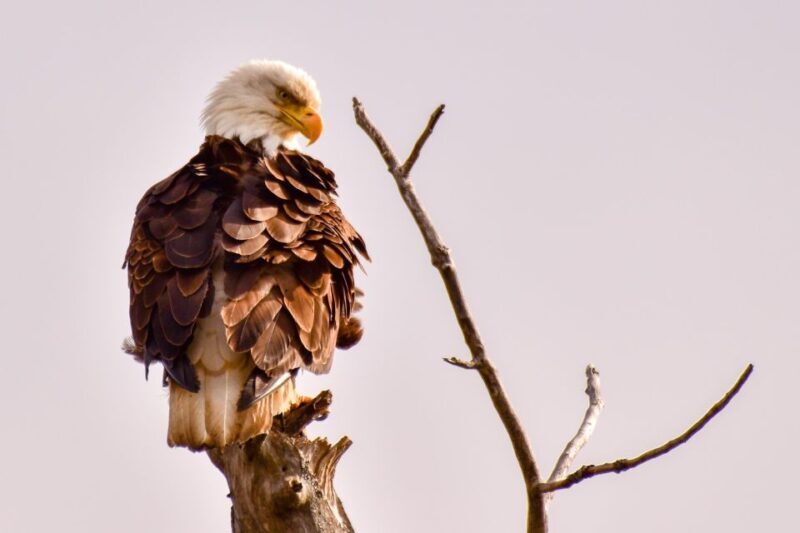From Seward: 6-hour Wilderness Hiking Tour - FAQs