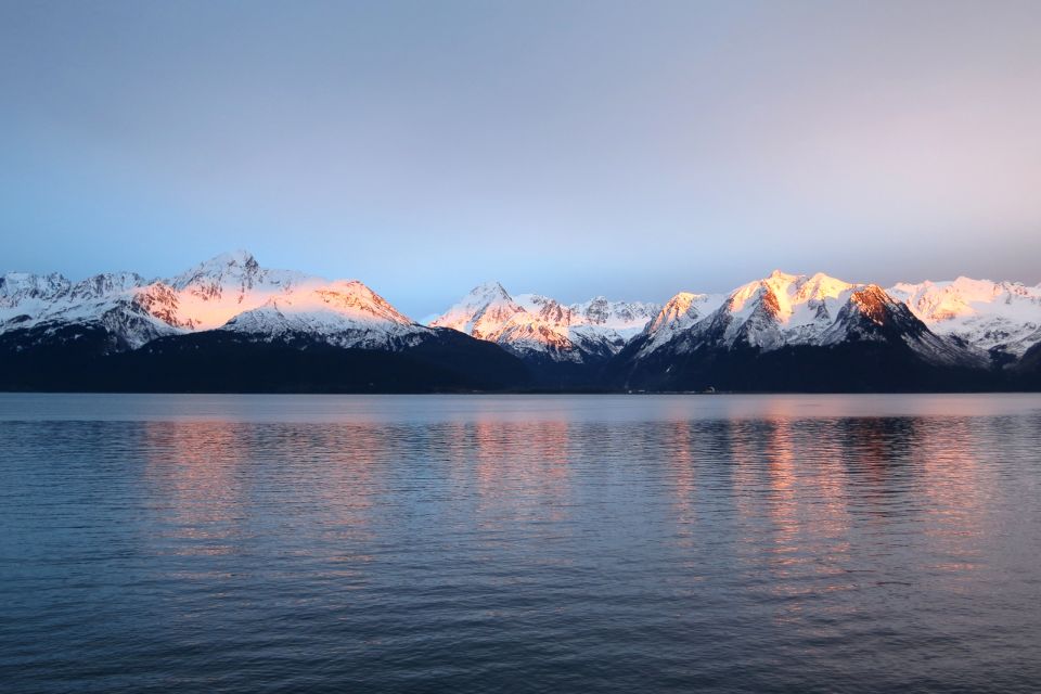 From Seward: Half-Day Resurrection Bay Wildlife Cruise Tour - Wildlife Sightings
