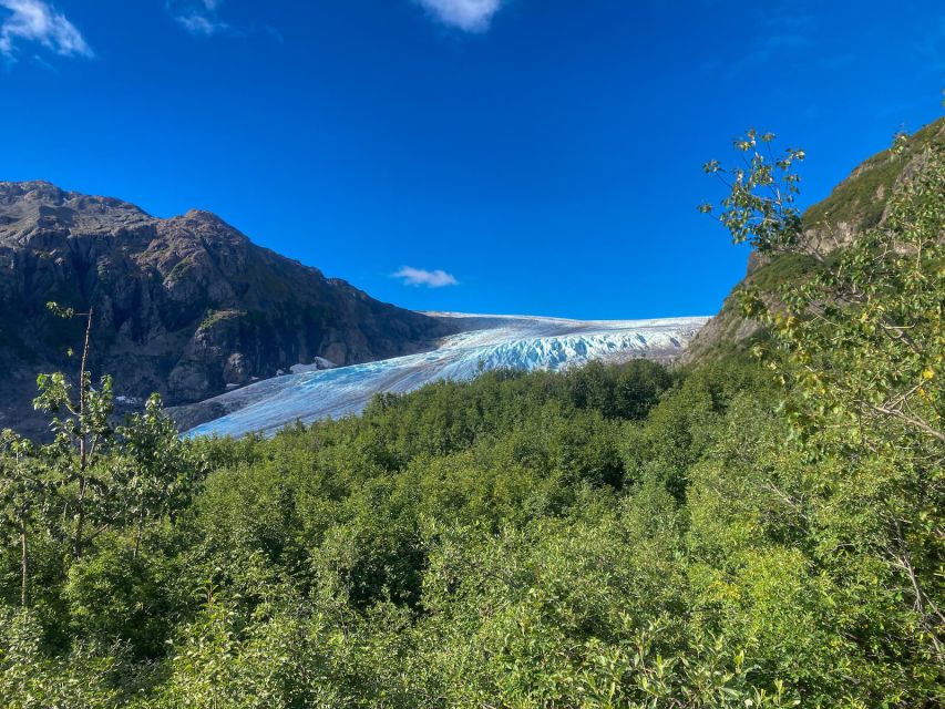 From Seward: Harding Icefield Trail Hiking Tour - Tour Requirements