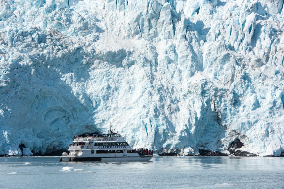 From Seward: Kenai Fjords National Park Cruise With Lunch - Pricing and Duration