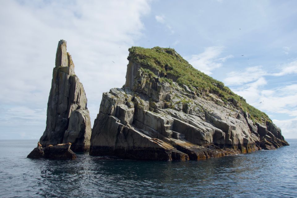 From Seward: Kenai Fjords National Park Cruise With Lunch - Inclusions Provided