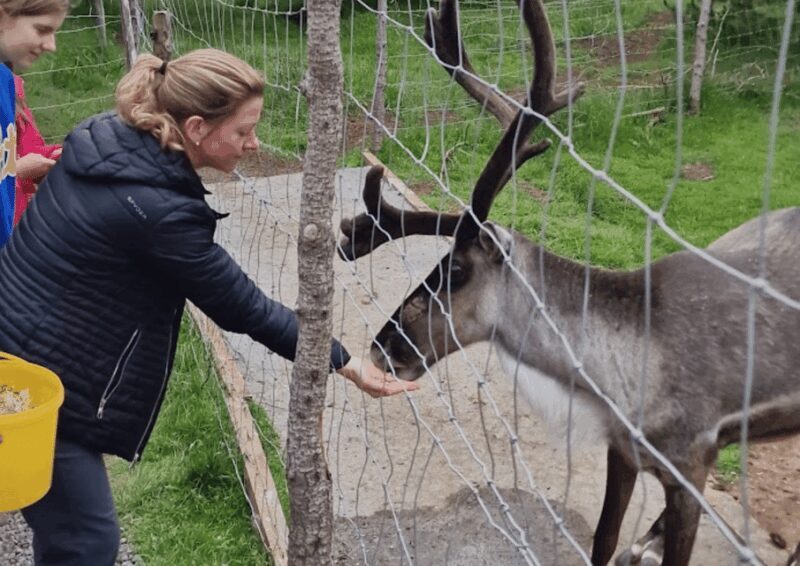 From Seyðisfjörður: Stuðlagil Canyon and Reindeer Park Tour - How the Experience Has Been Received