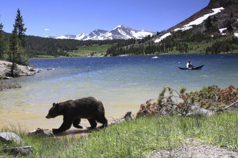 From Sf: Yosemite Day Trip With Giant Sequoias Hike & Pickup - Inclusions and Exclusions