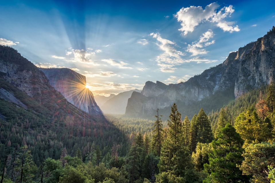 From Sf: Yosemite Day Trip With Giant Sequoias Hike & Pickup - Safety and Accessibility Concerns