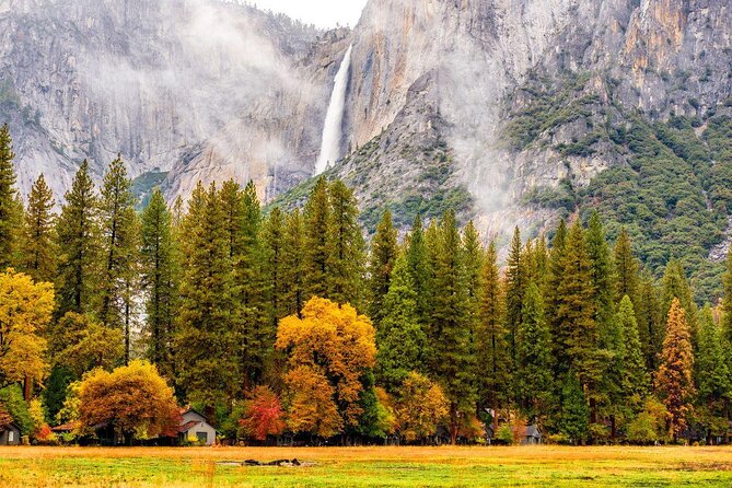 From SFO-Yosemite National Park-Enchanting Full Day Tour in SUV - About Your Stay