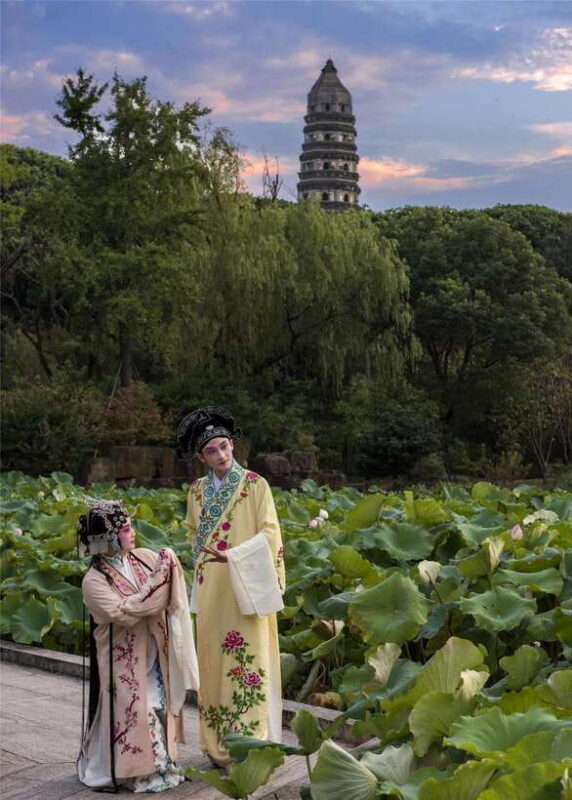 From Shanghai: 8-Day Private Tour to Hangzhou, Wuzhen, and - The Value of the Tour