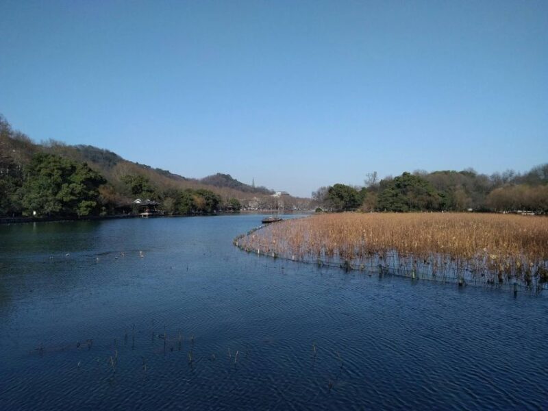 From Shanghai: Full-Day Private Hangzhou Tour - Tour Overview and Pricing