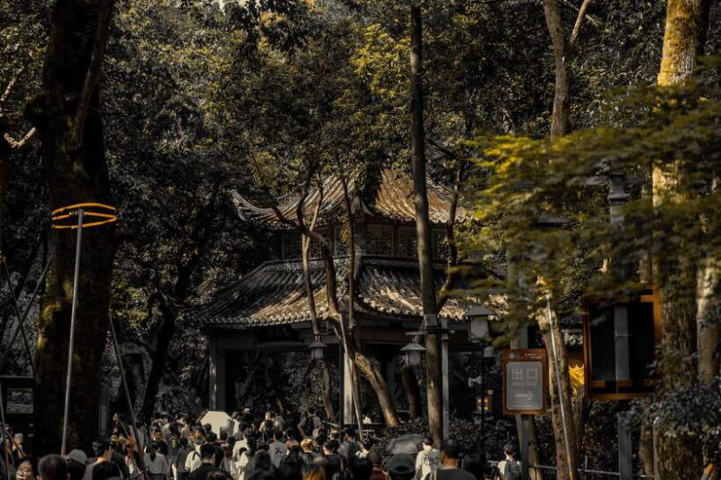 From Shanghai:Hangzhou Temple Zen and Longjing Tea ceremony - The Scenic Charm of Longjing Village