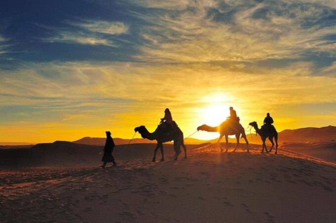 From Sharm El Sheikh: Bedouin Village, Camel Ride & Dinner - The Sum Up