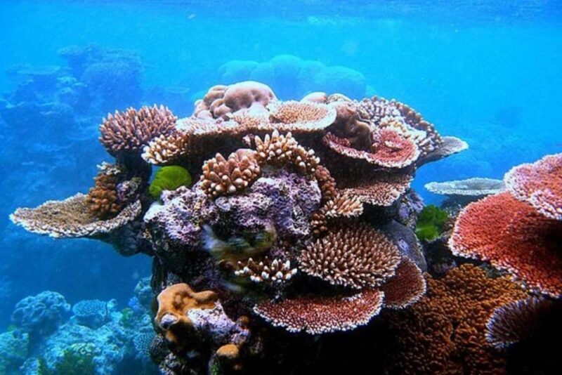 From Sharm El Sheikh: Colored Canyon, Blue Hole & Dahab - Highlights of Colored Canyon