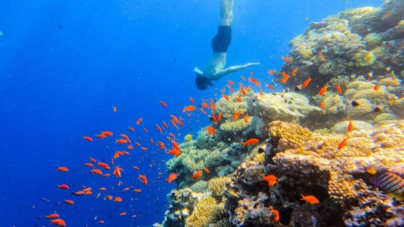 From Sharm El Sheikh: Colored Canyon, Blue Hole & Dahab - Exploring Dahab