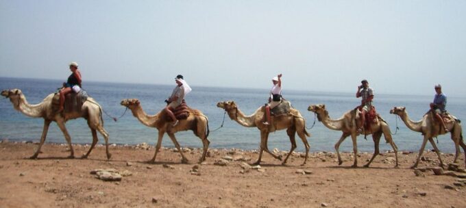 From Sharm El Sheikh: Colored Canyon, Blue Hole & Dahab - Customer Experiences