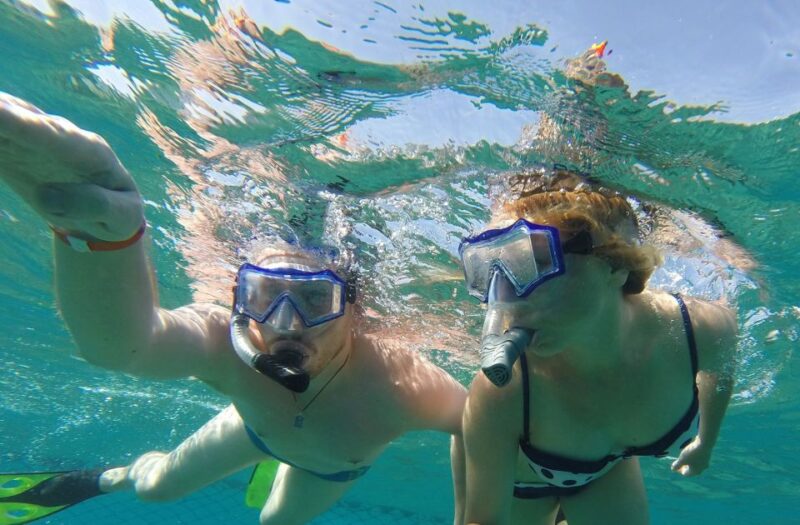 From Sharm El-Sheikh: Ras Mohammed Snorkeling Trip Bu Bus - Included Features